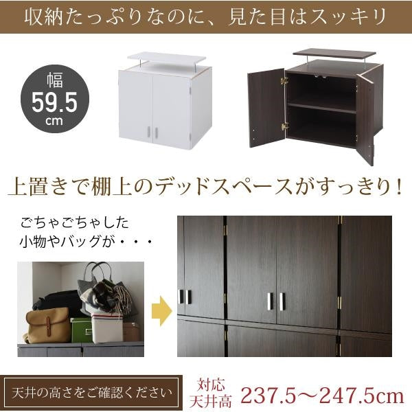 ロッカー シリーズ 上置き 棚 ラック 単品 幅60 天井 つっぱり 収納 クローゼット 衣類収納 服 洋服 衣類 天袋 棚 上棚 アイデア 収納術 一人暮らし